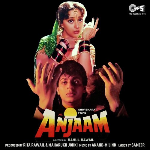 Anjaam (1994) (Hindi)